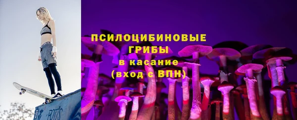 молекула духа Бугульма