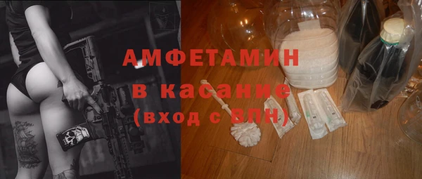 мдпв Вяземский