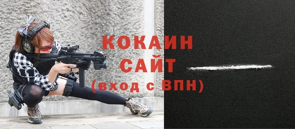 мдпв Вяземский
