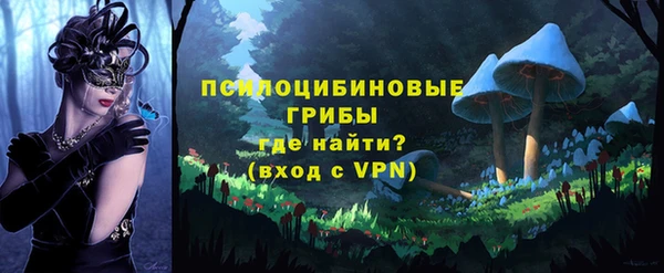 амф Тайга